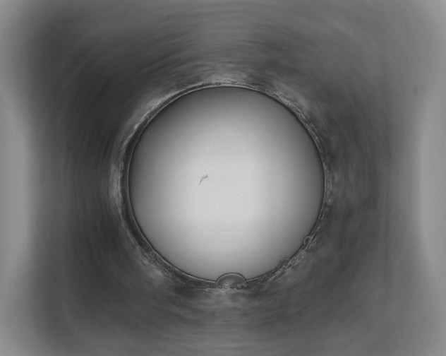 X0000111620098200907241038