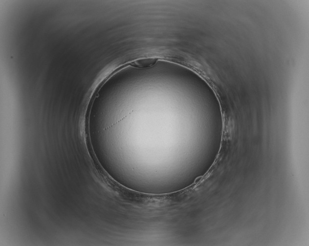 X0000111620099200907241038