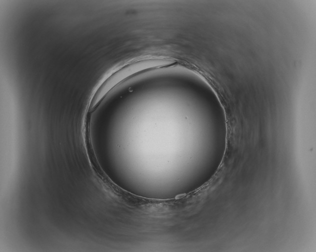 X0000111620100200907241038