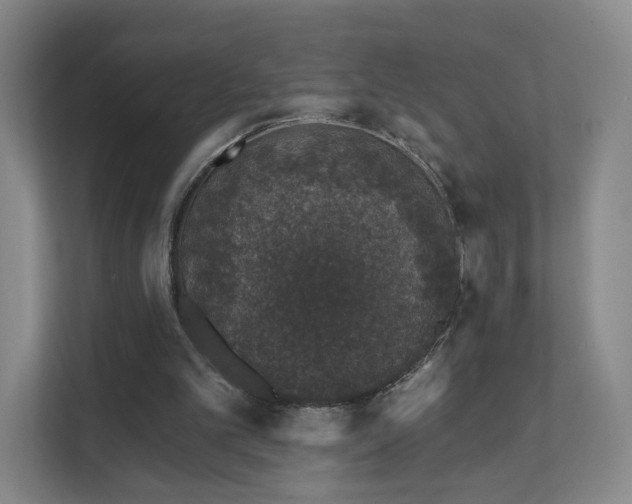 X0000111620101200907241038