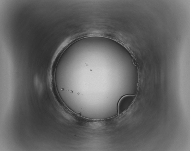 X0000111620102200907241038