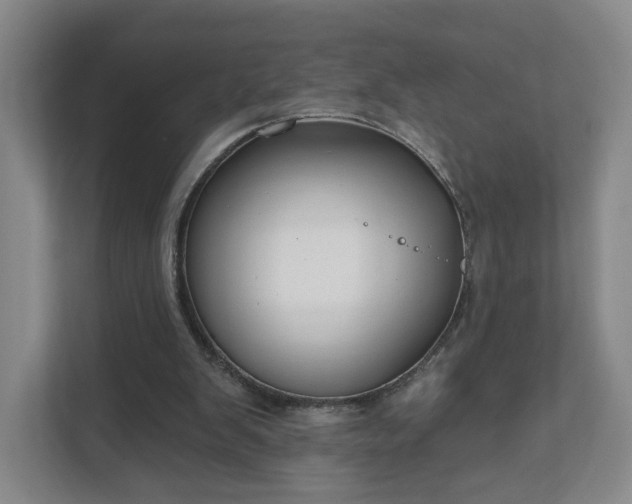 X0000111620103200907241038