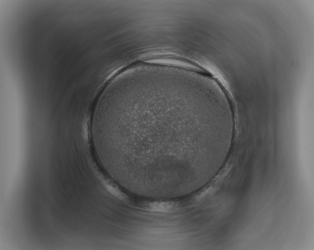 X0000111620105200907241038