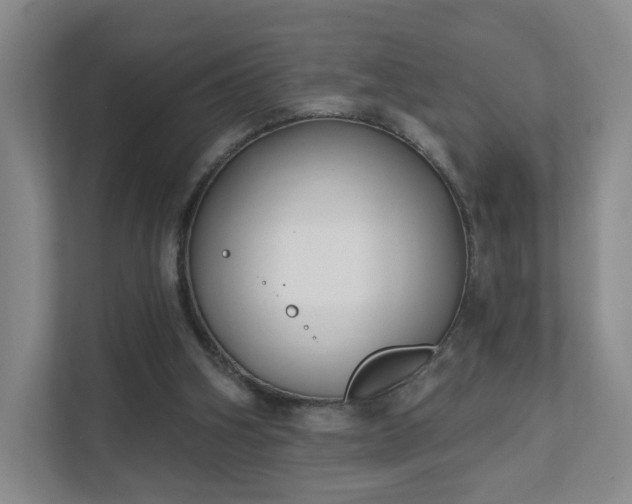 X0000111620106200907241038