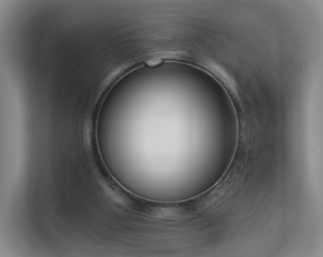 X0000111620107200907241038