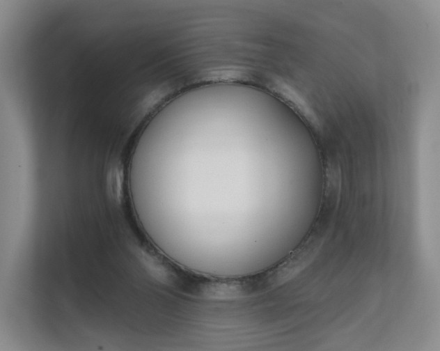 X0000111620110200907241038