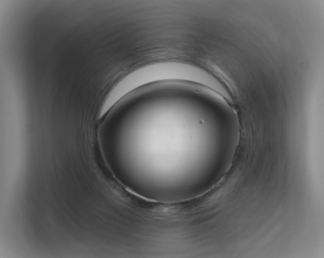 X0000111620117200907241038