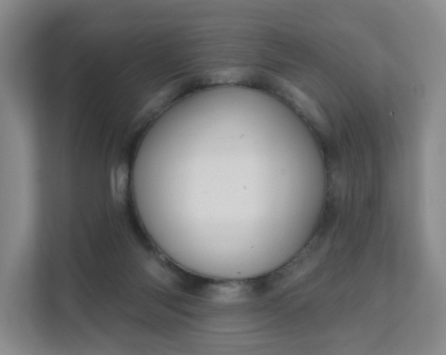 X0000111620118200907241038
