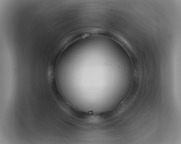 X0000111620119200907241038