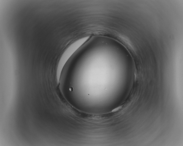 X0000111620121200907241038