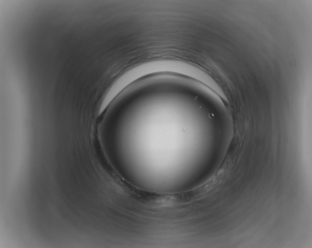X0000111620124200907241038