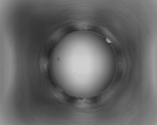 X0000111620125200907241038