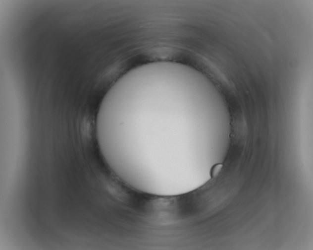 X0000111620126200907241038