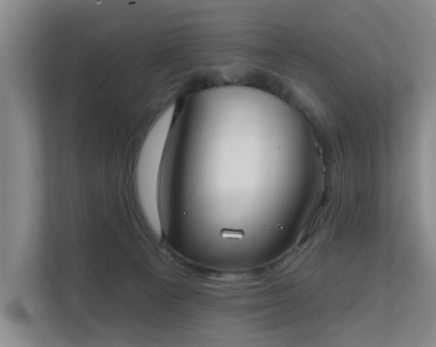 X0000111620129200907241038