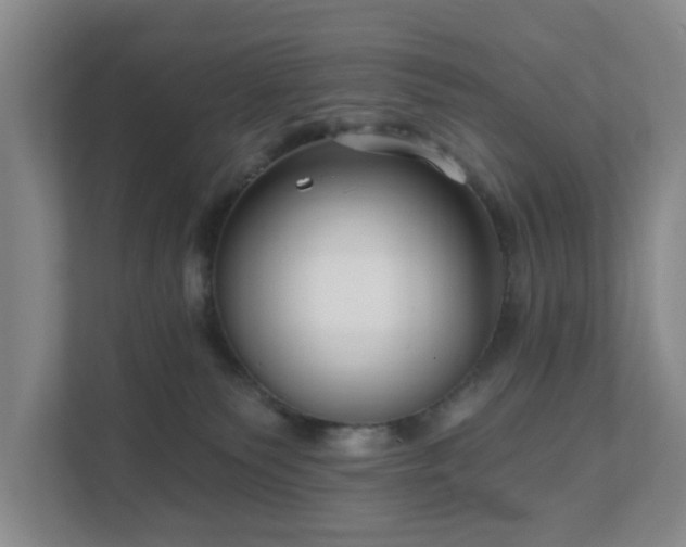 X0000111620135200907241037