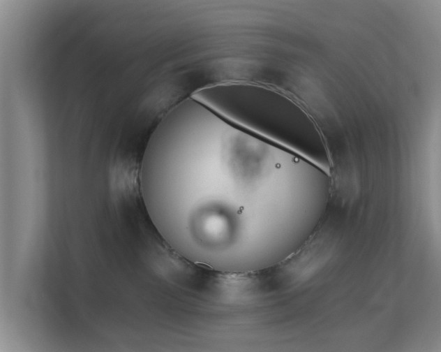 X0000111620141200907241037
