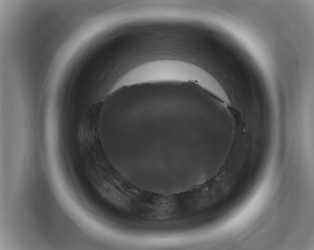 X0000111620143200907241037