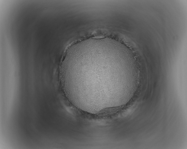 X0000111620144200907241037
