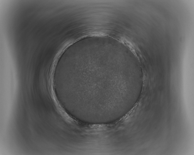 X0000111620145200907241037