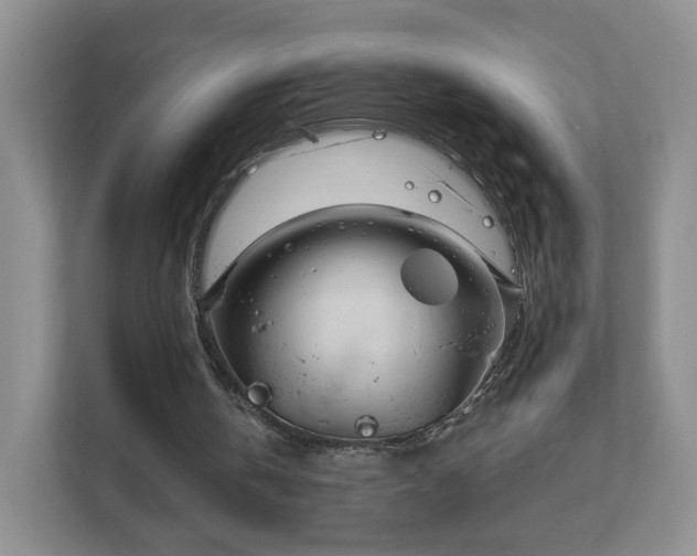 X0000111620146200907241037