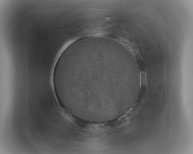 X0000111620147200907241037