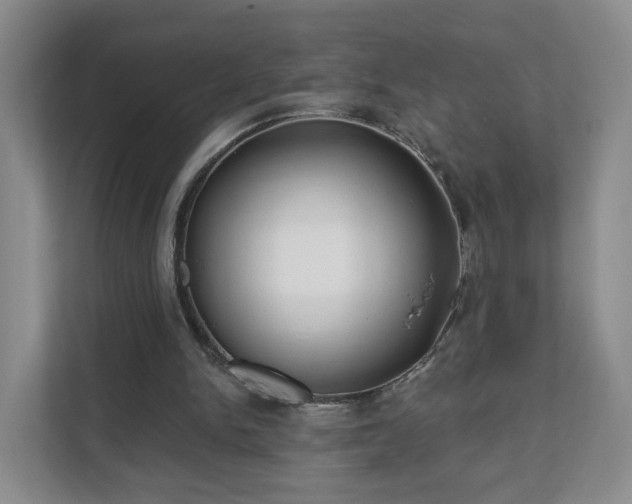 X0000111620150200907241037