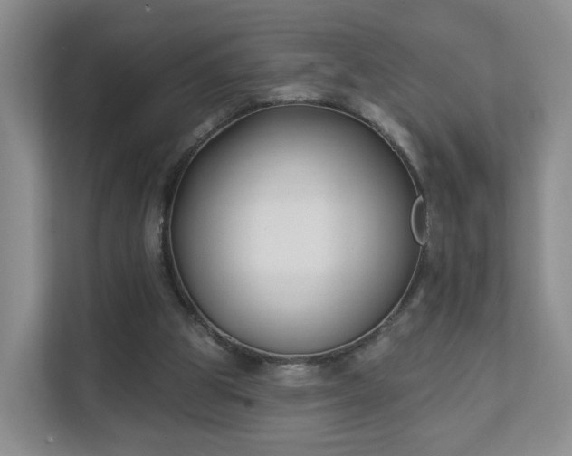 X0000111620153200907241037