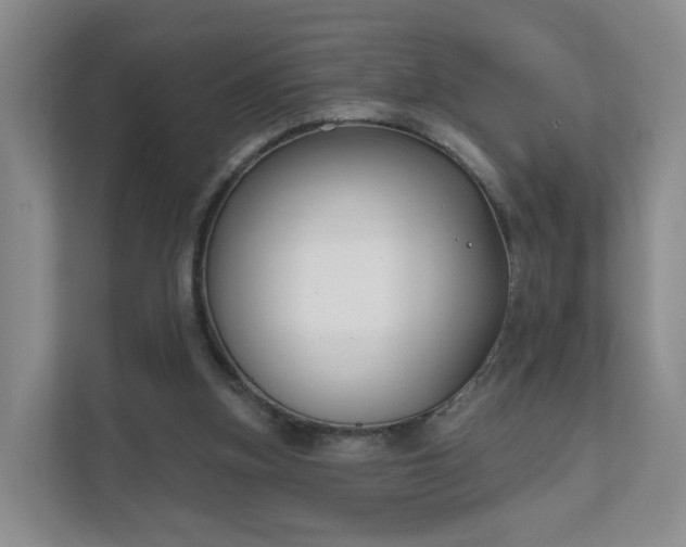 X0000111620155200907241037