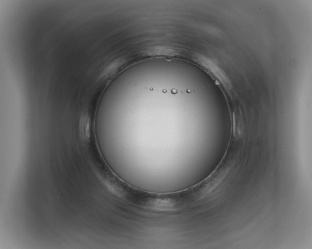 X0000111620157200907241037