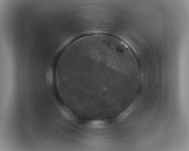 X0000111620158200907241037