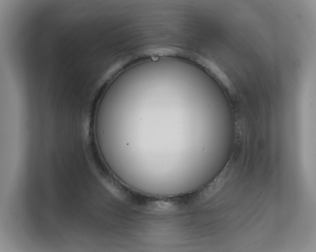 X0000111620159200907241037