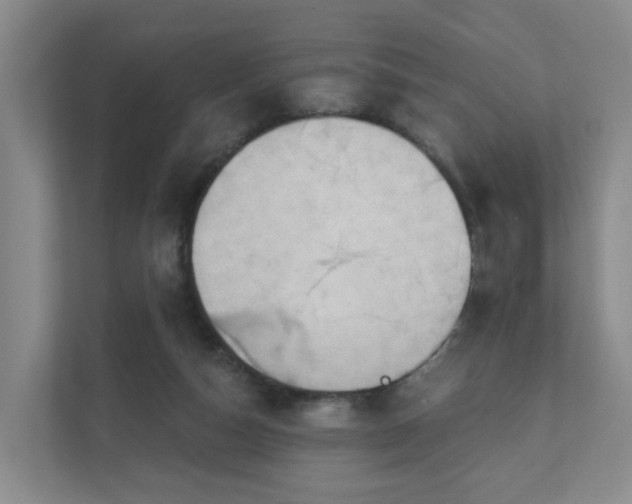 X0000111620162200907241037