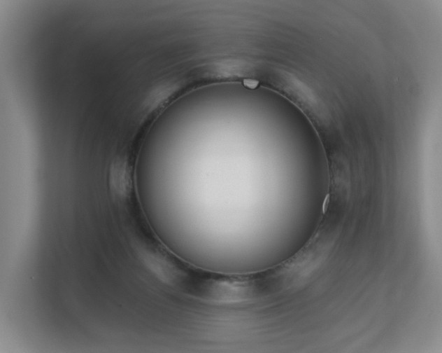 X0000111620164200907241037