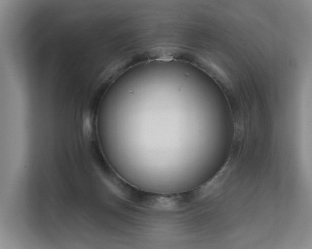 X0000111620166200907241037