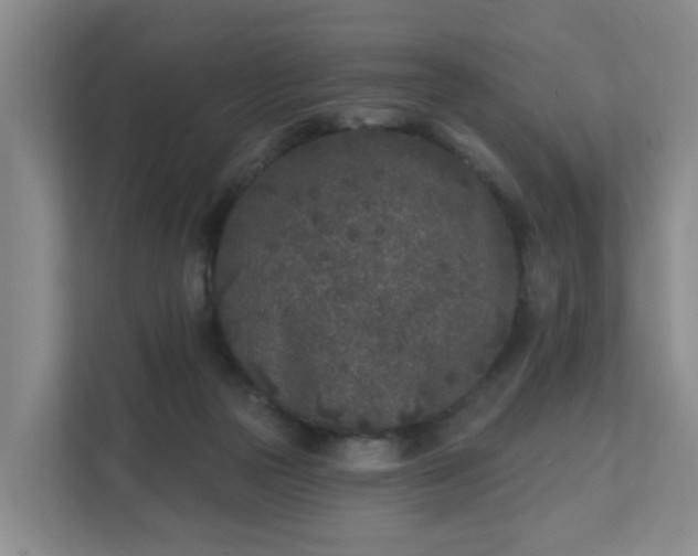 X0000111620169200907241037