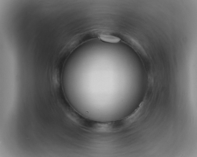 X0000111620170200907241037