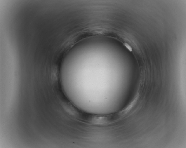 X0000111620174200907241037