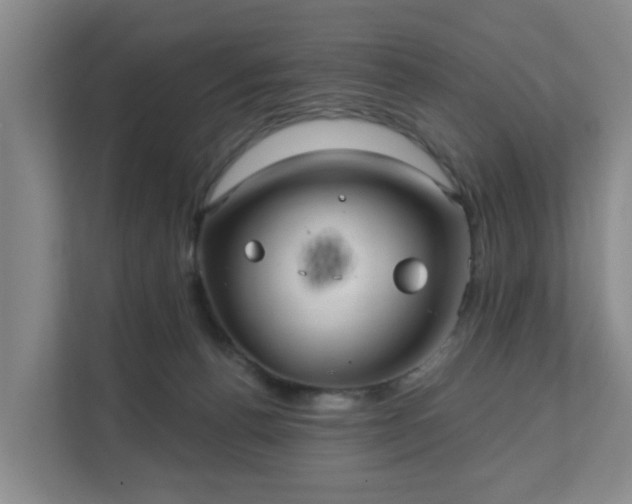 X0000111620176200907241037