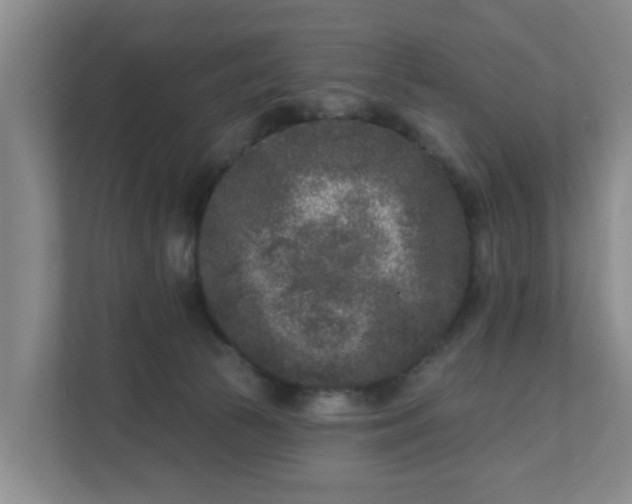 X0000111620177200907241037