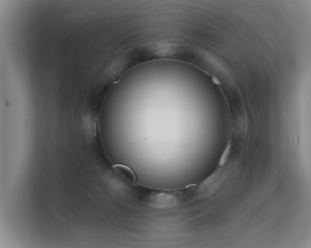 X0000111620180200907241037