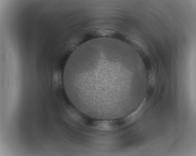 X0000111620182200907241037