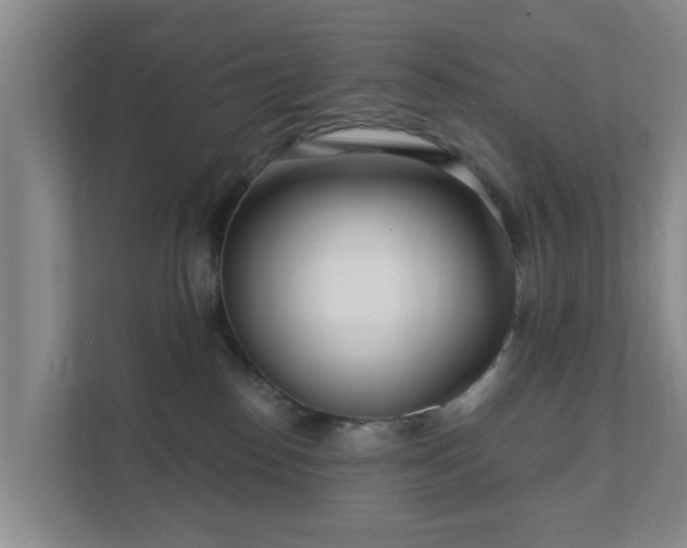 X0000111620186200907241037