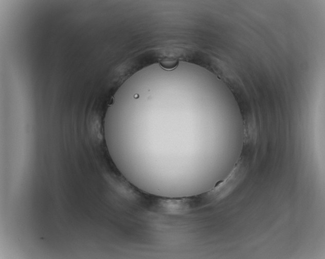 X0000111620187200907241037