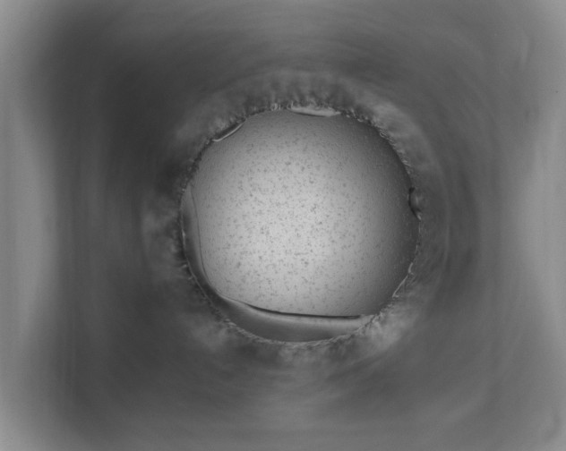 X0000111620192200907241037