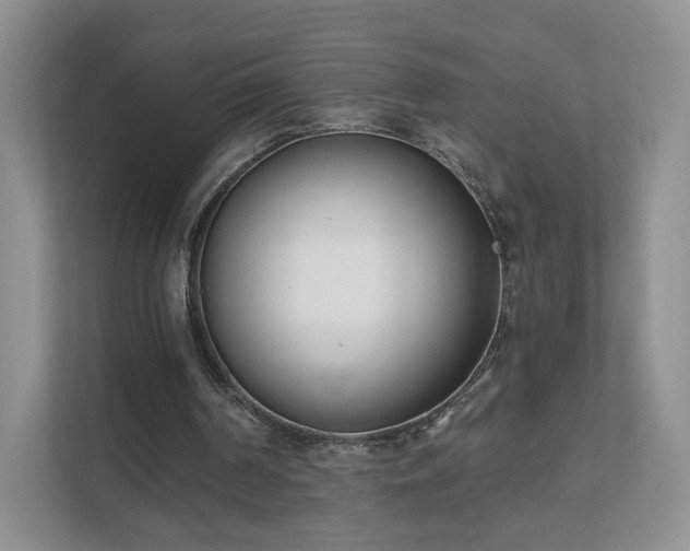X0000111620194200907241037
