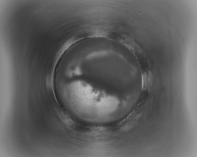 X0000111620195200907241037