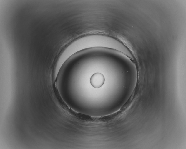 X0000111620201200907241037