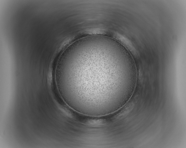 X0000111620202200907241037