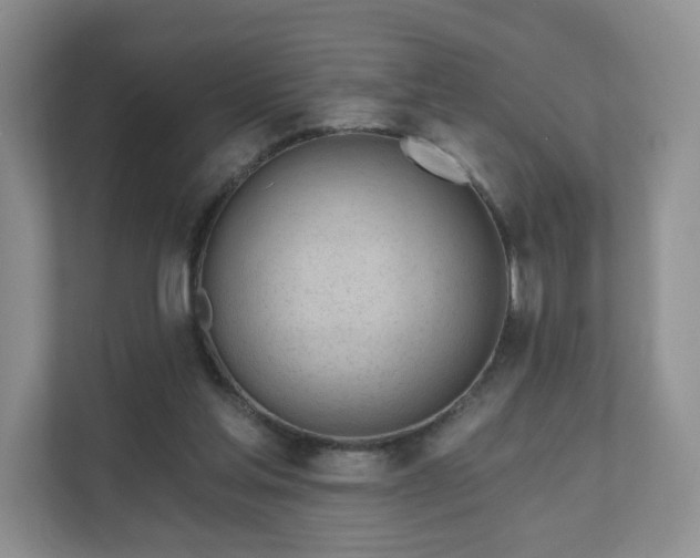 X0000111620205200907241037