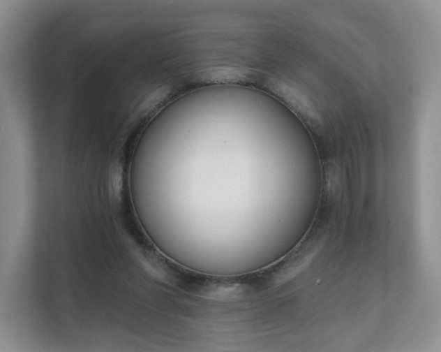 X0000111620206200907241037